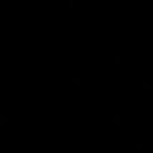 Meet your Posher, Jaydin